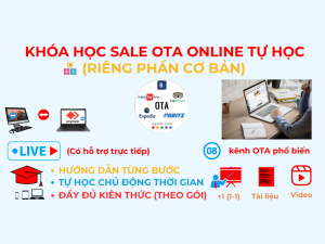 Otavn Dao Tao Sale Ota Tu Hoc Online Rieng Phan Co Ban