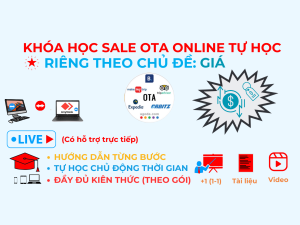 Otavn Dao Tao Sale Ota Tu Hoc Online Rieng Chu De Gia