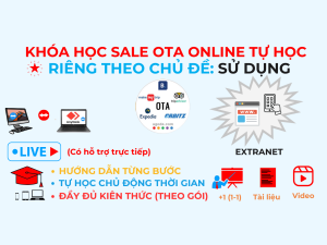 Otavn Dao Tao Sale Ota Tu Hoc Online Rieng Chu De Su Extranet Co Ban