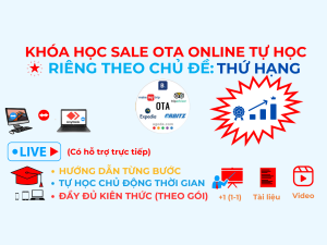 Otavn Dao Tao Sale Ota Tu Hoc Online Rieng Chu De Thu Hang