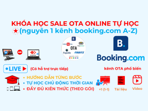 Otavn Dao Tao Sale Ota Tu Hoc Online Rieng Kenh Booking.com