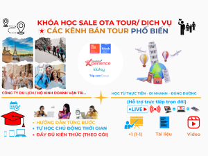 Otavn Ota Viet Nam Dao Tao Sale Ota Tour Tu Hoc Online