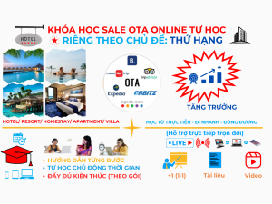 Otavn Ota Viet Nam Dao Tao Sale Ota Tu Hoc Online Rieng Chu De Thu Hang
