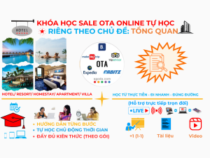 Otavn Ota Viet Nam Dao Tao Sale Ota Tu Hoc Online Rieng Chu De Tong Quan Kenh Ota