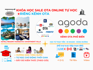 Otavn Ota Viet Nam Dao Tao Sale Ota Tu Hoc Online Rieng Kenh Agoda