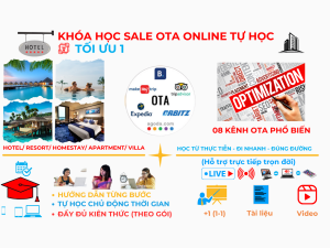 Otavn Ota Viet Nam Dao Tao Sale Ota Tu Hoc Online Khoa Toi Uu 1