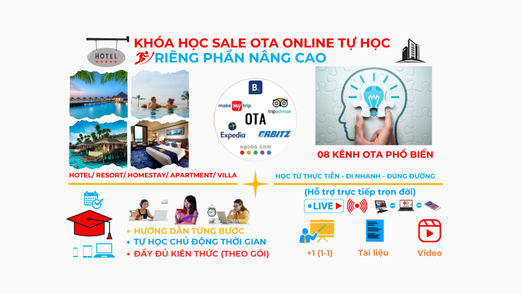 Otavn Ota Viet Nam Dao Tao Sale Ota Tu Hoc Online Rieng Phan Nang Cao